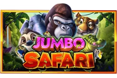 casino live